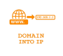 Domain into IP